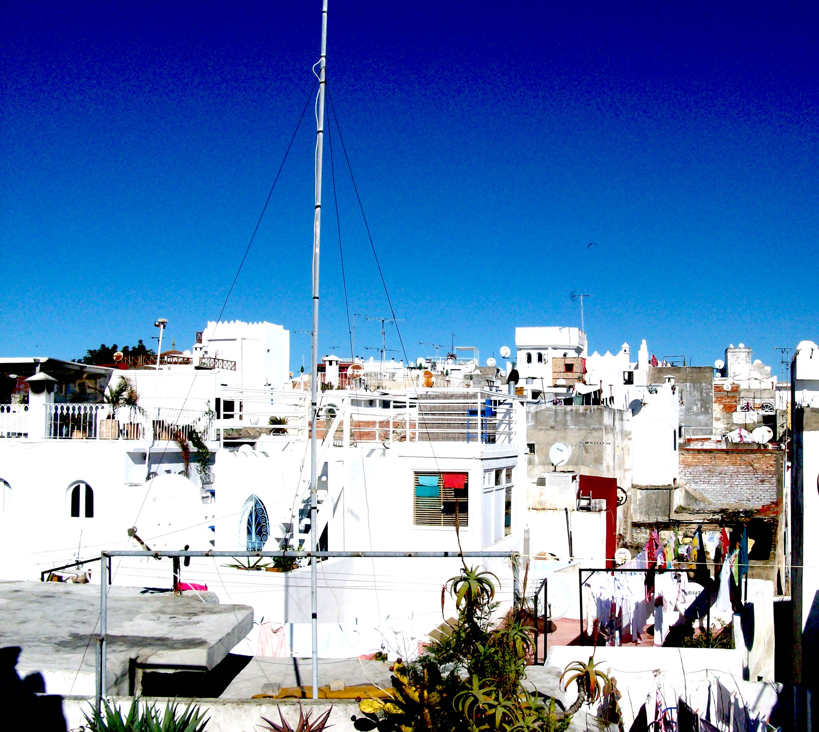 Tanger 8 roofs